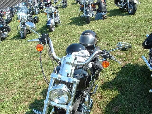 sportster 1200 bars